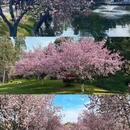 南京旅游 缩略图 1