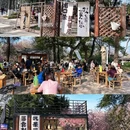 南京旅游 缩略图 10