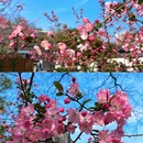 南京旅游 缩略图 5