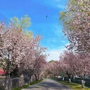 南京旅游 缩略图 9
