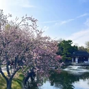 南京旅游 缩略图 8