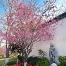 南京旅游 缩略图 7