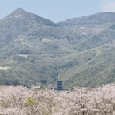 宁波旅游 缩略图 1