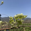 宁波旅游 缩略图 3
