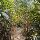 宁波旅游 缩略图 7
