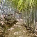 宁波旅游 缩略图 8