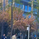 成都旅游 缩略图 10