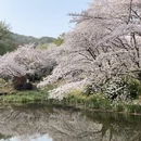 无锡旅游 缩略图 1