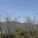 宁波旅游 缩略图 4