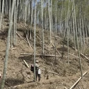 宁波旅游 缩略图 6
