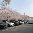 无锡旅游 缩略图 10