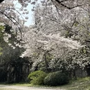 无锡旅游 缩略图 5