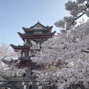 无锡旅游 缩略图 8