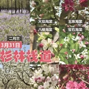 临沂旅游 缩略图 1