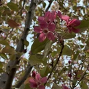 临沂旅游 缩略图 9