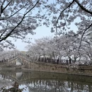 无锡旅游 缩略图 9