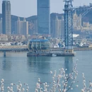 大连旅游 缩略图 7