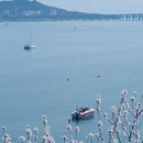 大连旅游 缩略图 5