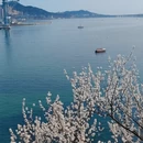 大连旅游 缩略图 6