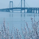 大连旅游 缩略图 4