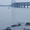 大连旅游 缩略图 12