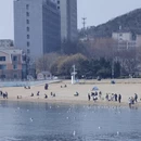 大连旅游 缩略图 13