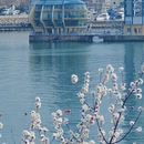 大连旅游 缩略图 9