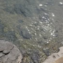 大连旅游 缩略图 11