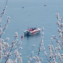 大连旅游 缩略图 8
