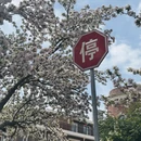 天津旅游 缩略图 5