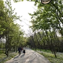 杭州旅游 缩略图 6