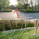 杭州旅游 缩略图 4