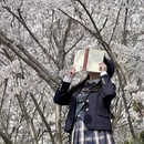 青岛旅游 缩略图 3