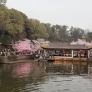 无锡旅游 缩略图 9