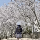 青岛旅游 缩略图 6