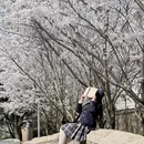 青岛旅游 缩略图 2
