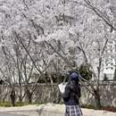 青岛旅游 缩略图 8