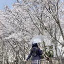青岛旅游 缩略图 5