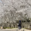 青岛旅游 缩略图 10