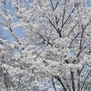 青岛旅游 缩略图 12