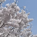 青岛旅游 缩略图 14