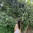 济南旅游 缩略图 8