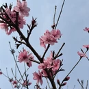临沂旅游 缩略图 13