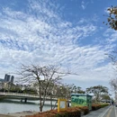 厦门旅游 缩略图 2