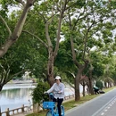 厦门旅游 缩略图 5