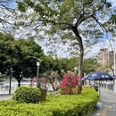 厦门旅游 缩略图 6