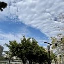 厦门旅游 缩略图 14