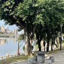 厦门旅游 缩略图 13