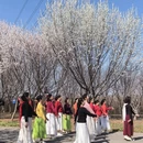 大连旅游 缩略图 5