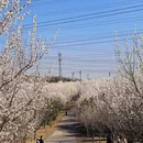 大连旅游 缩略图 4